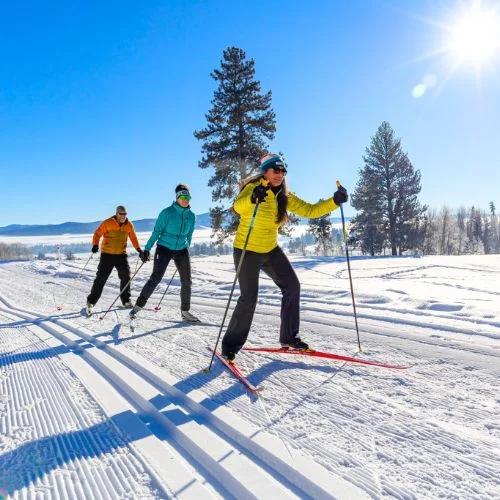 Cross-Country Skiing